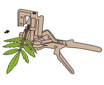 como enxertar 2 - carril.pt  - Carril.pt