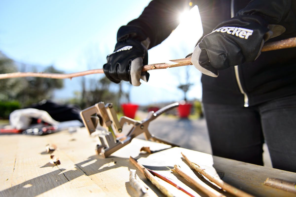 como enxertarcarril 4 - carril.pt  - Carril.pt