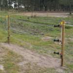2sc-140137_1.jpg - carril.pt - Carril.pt