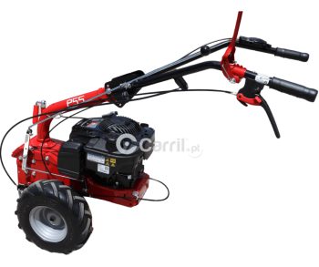 ja-cm.p55_6.png - carril.pt - Carril.pt