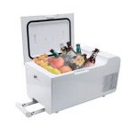 frigorifico-auto-2.jpg - carril.pt - Carril.pt