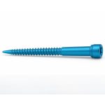 DENTE LONGO ELEKTRA - Carril.pt