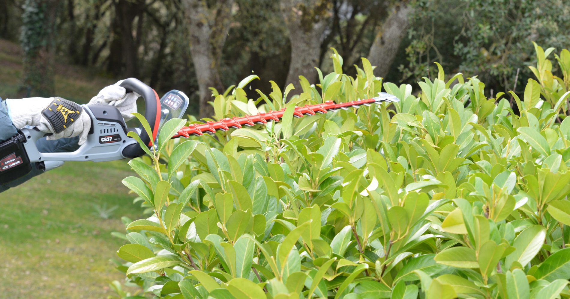 roÇadora a bateria arvipo bc37 - carril.pt - Carril.pt