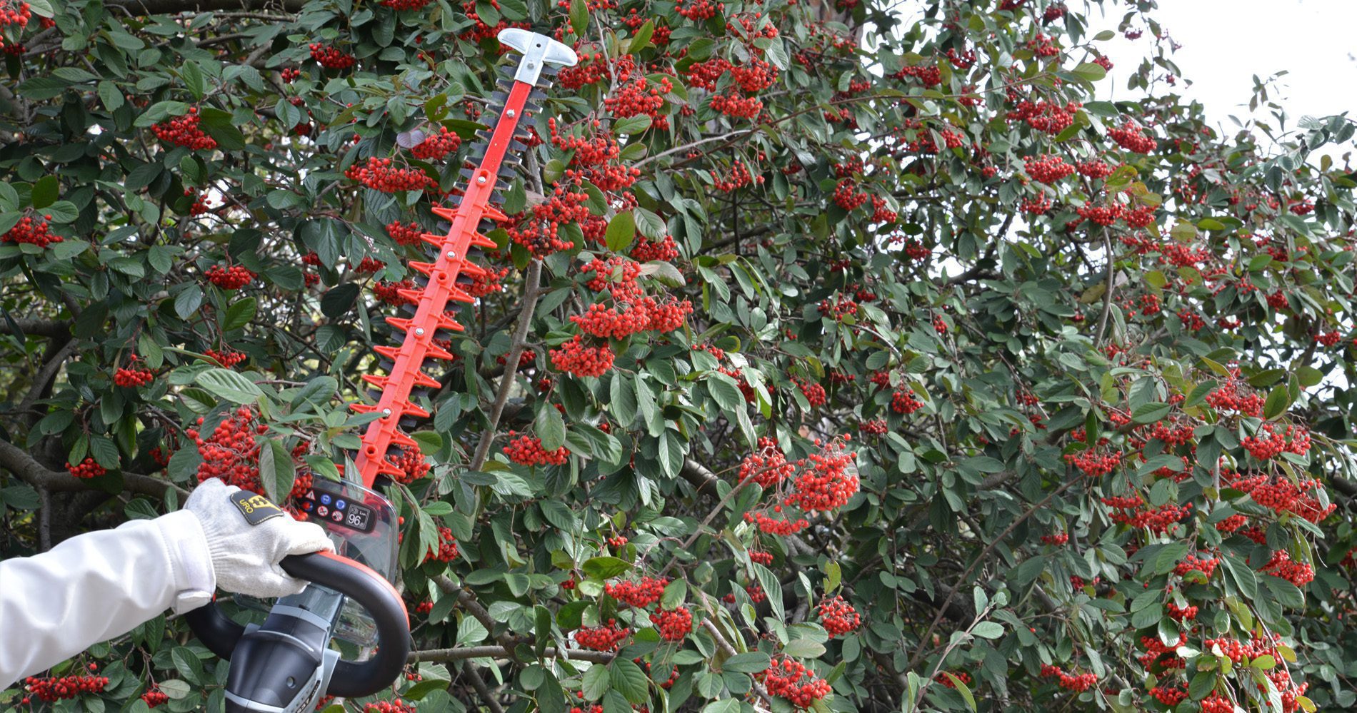 roÇadora a bateria arvipo bc37 - carril.pt - Carril.pt