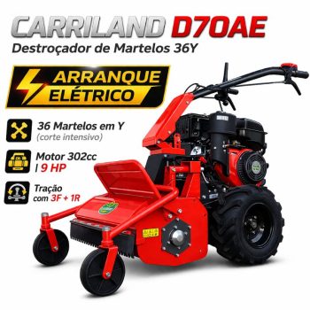 DESTROÇADOR de MARTELOS CARRILAND D70AE 8.9 HP C/ARRANQUE ELÉTRICO