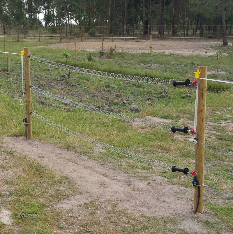 2sc-140137_1.jpg - carril.pt - Carril.pt