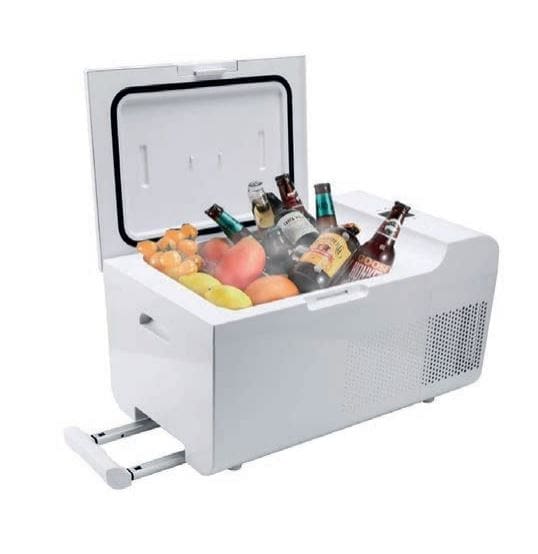 frigorifico-auto-2.jpg - carril.pt - Carril.pt