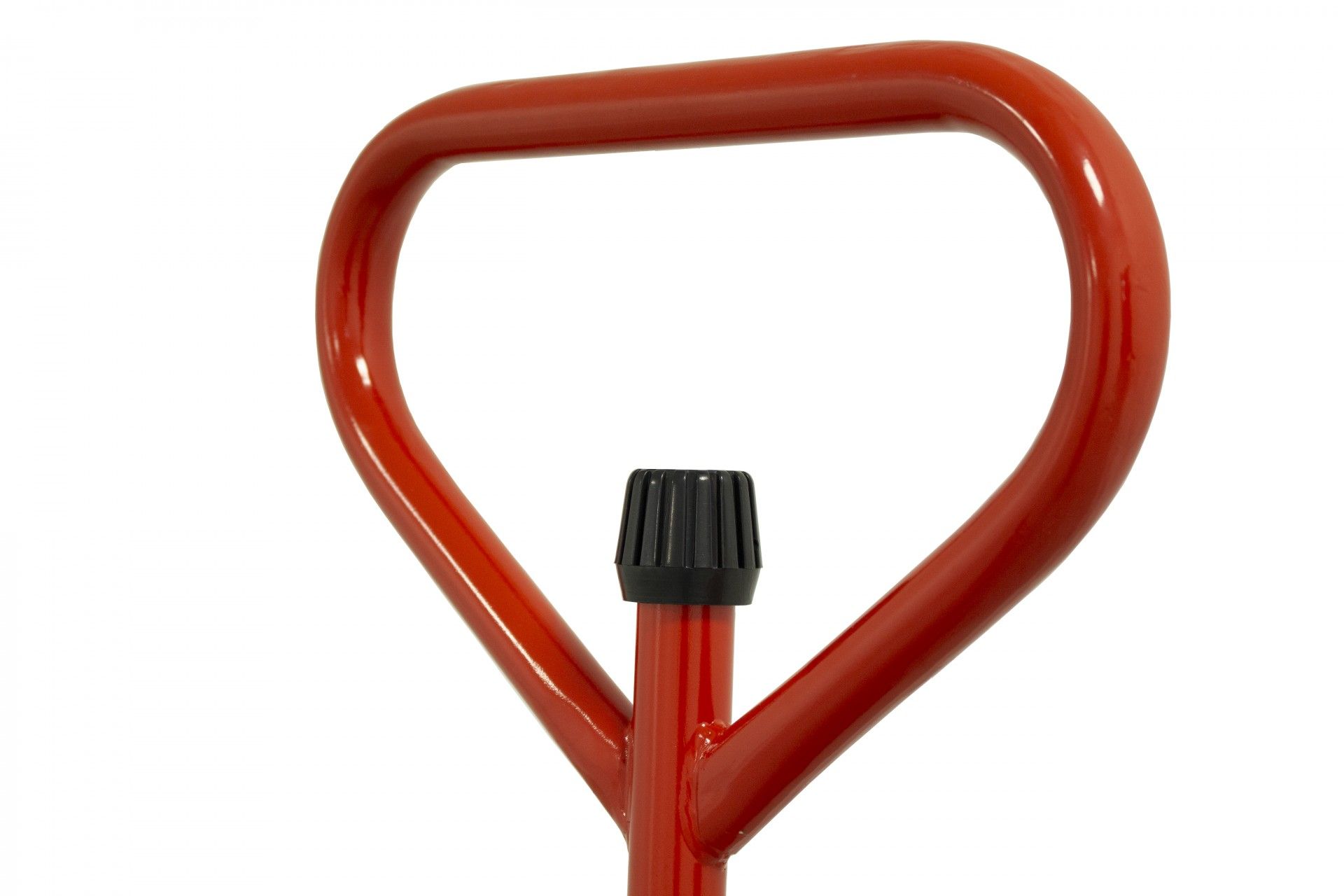 1617006416_f87302df7df3791d4c31b97d62641e66 - carril.pt - Carril.pt